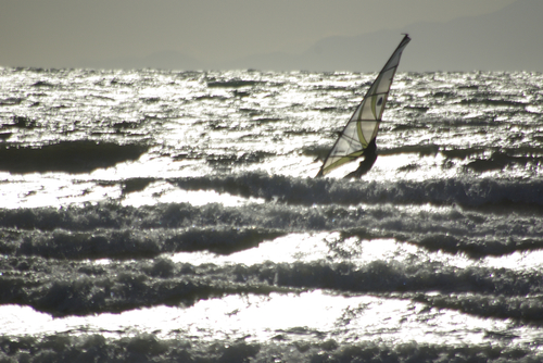 b0087456_1128934.jpg