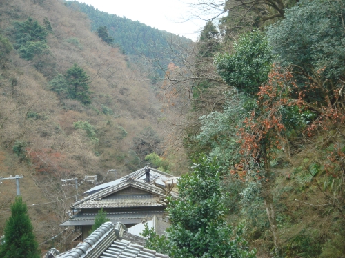 c0108460_21553278.jpg