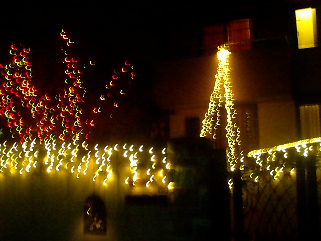 f0198760_23555843.jpg
