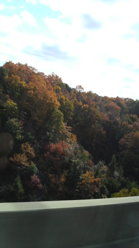 c0147261_224448.jpg