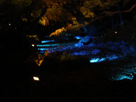 e0129961_2052376.jpg