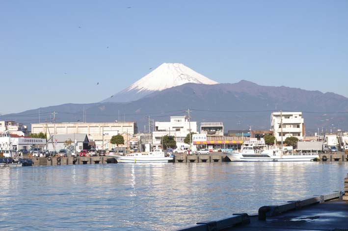 駿河には過ぎたるものが二つあり、富士のお山に原の白隠_c0014967_18442338.jpg