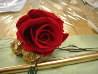 e0043367_1601997.gif