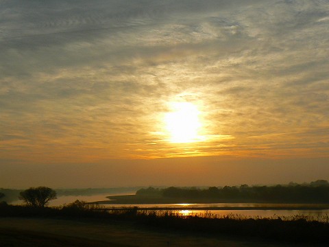 利根川の朝日_d0010073_2334122.jpg