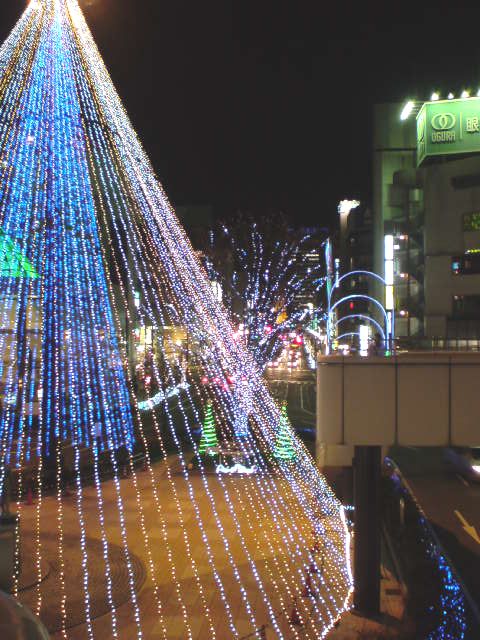 c0157482_101131.jpg