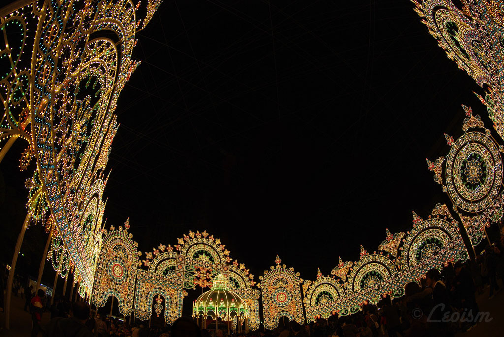 c0080101_4413958.jpg