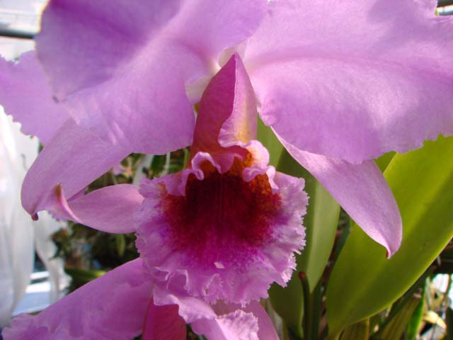 d0007501_692197.jpg