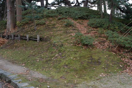 新潟総鎮守 白山神社_e0117202_13435452.jpg