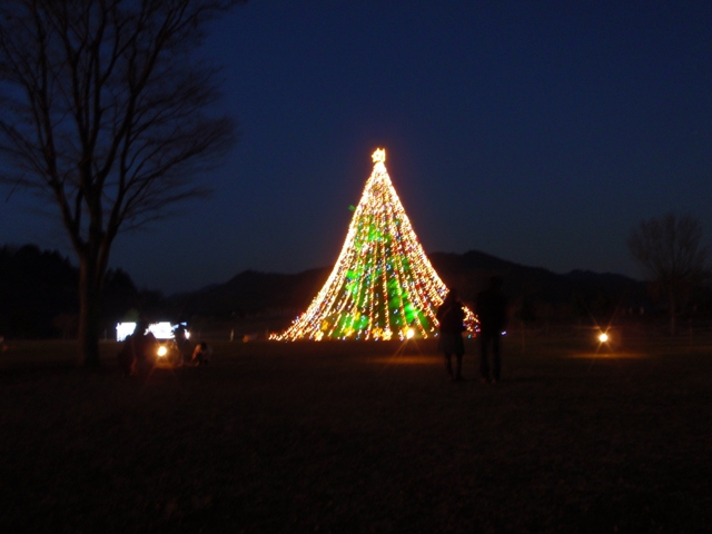e0138005_23232771.jpg