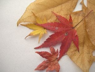 c0149408_2331574.jpg