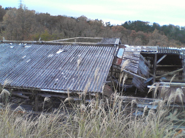 e0015108_716091.jpg