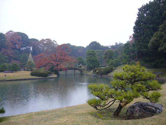 紅葉のライトアップ @六義園_b0112909_16592991.jpg