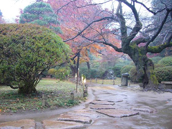 紅葉のライトアップ @六義園_b0112909_17143977.jpg