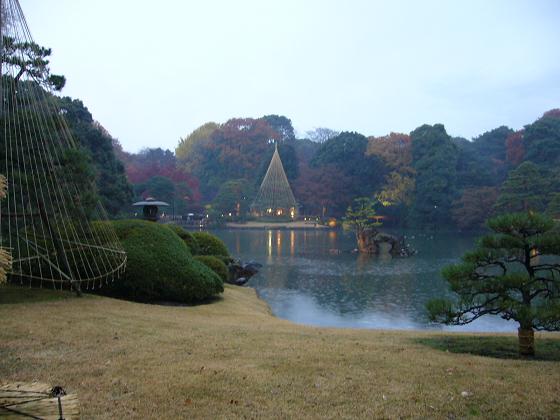 紅葉のライトアップ @六義園_b0112909_17323363.jpg