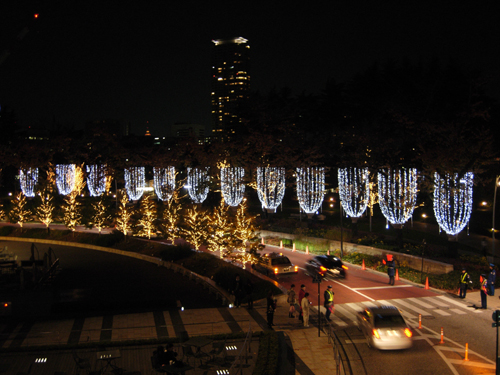 b0012010_23204245.jpg