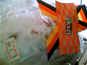 c0111017_20124813.jpg