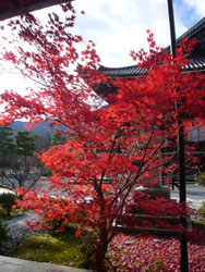 京都旅行_f0140817_2043980.jpg
