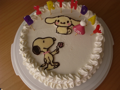 スヌーピーとシナモンロールのコラボケーキ カメラと一緒におでかけ Vol 1