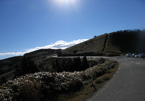 e0089826_922124.jpg