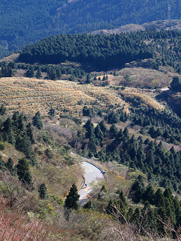 e0089826_932246.jpg