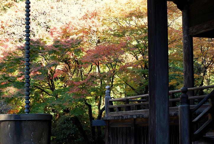 鎌倉１２月　妙本寺　（１２月１０日）_d0085228_22171111.jpg