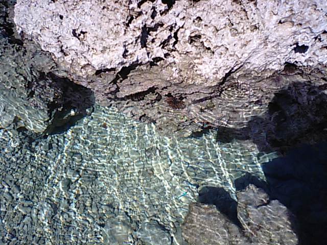 e0037129_15565685.jpg