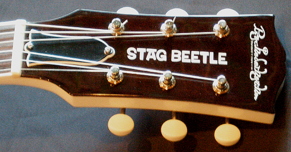 1本目の「STAG BEETLE」が完成しましたがぁ!?....._e0053731_20343046.jpg