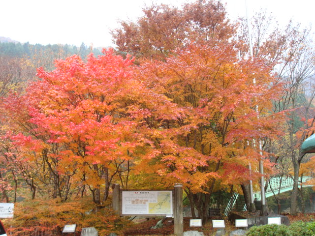 a0048040_17443388.jpg