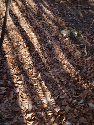 小川山　2008　(49) 　忘却の果て　完結_a0016346_1153989.jpg