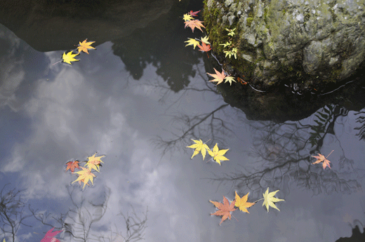 c0093046_816231.gif
