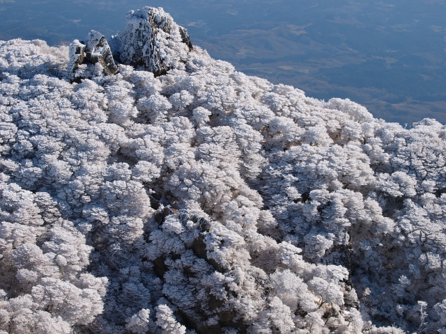 大船山霧氷鑑賞登山_e0151447_22374955.jpg