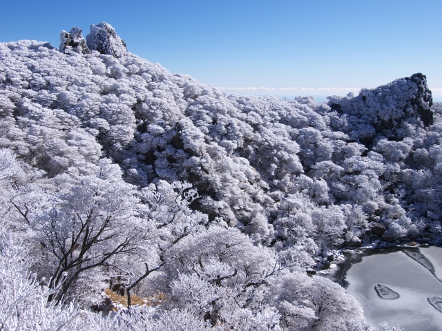 大船山霧氷鑑賞登山_e0151447_231181.jpg