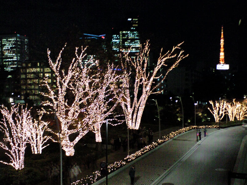 a0036254_23201853.jpg