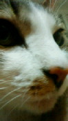 c0052756_21104857.jpg
