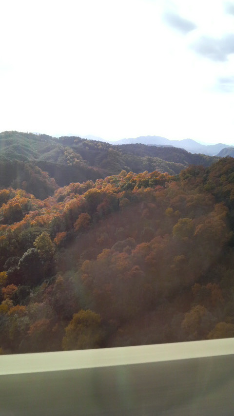 c0147261_18421729.jpg