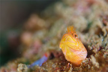 2008/12/09 Tue._e0158261_832464.jpg