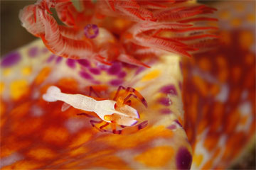 2008/12/09 Tue._e0158261_8332529.jpg