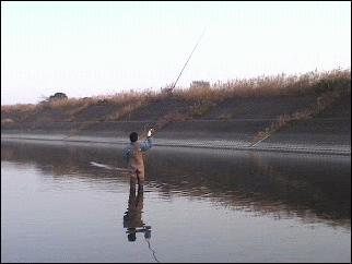 f0084561_1523573.gif