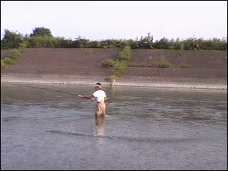 f0084561_15424452.gif