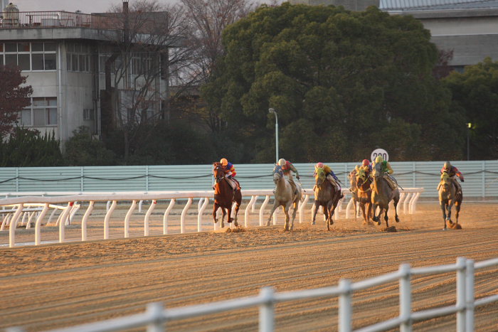 2008年12月7日（日） 福山競馬 11R くわい特別 後半_a0077663_19282459.jpg