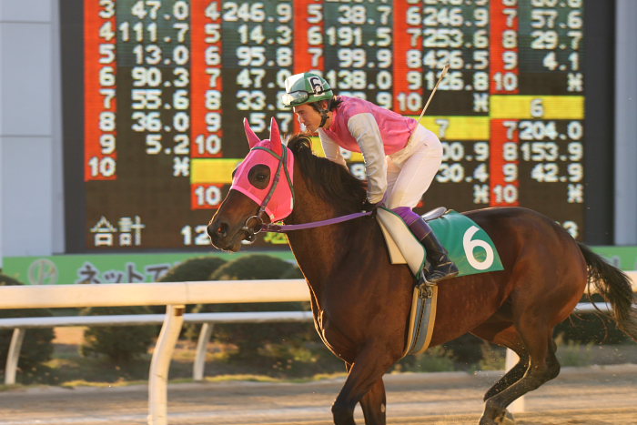 2008年12月7日(日) 福山競馬 11R くわい特別 前半_a0077663_196331.jpg