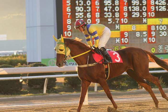 2008年12月7日(日) 福山競馬 11R くわい特別 前半_a0077663_1964461.jpg