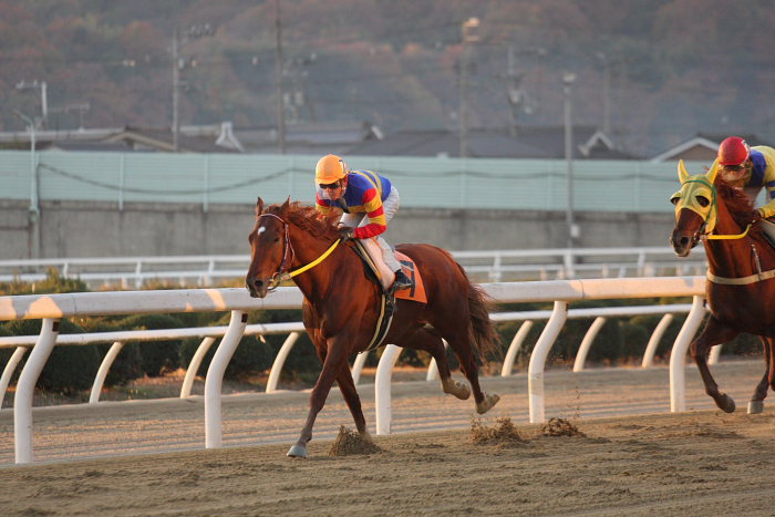 2008年12月7日（日） 福山競馬 11R くわい特別 前半_a0077663_1971859.jpg