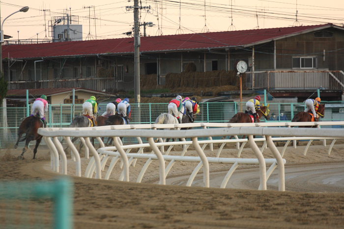 2008年12月7日（日） 福山競馬 11R くわい特別 前半_a0077663_1973924.jpg