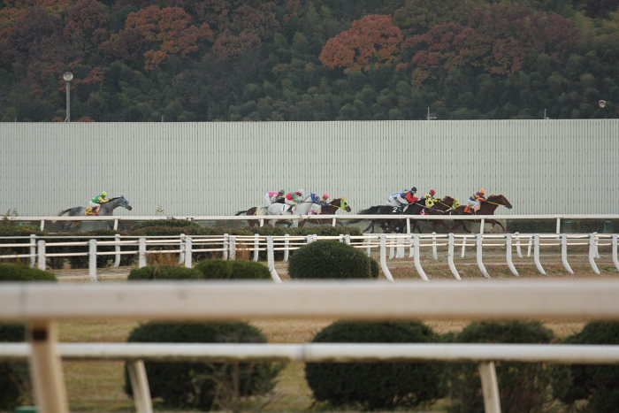 2008年12月7日（日） 福山競馬 11R くわい特別 前半_a0077663_197567.jpg