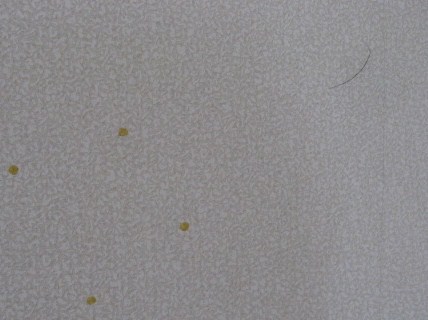 c0145763_22103628.jpg