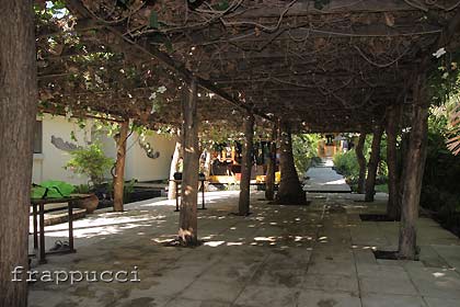 d0056263_1605456.jpg