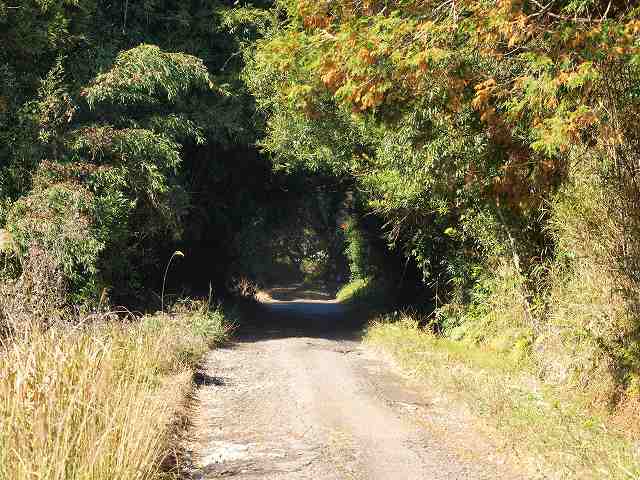 b0135573_2155817.jpg