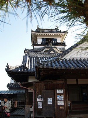 高知城_f0197985_052564.jpg