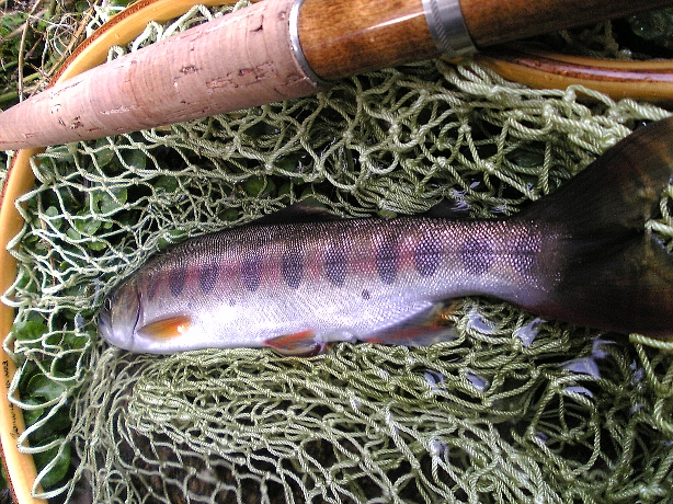 d0129886_2012826.jpg